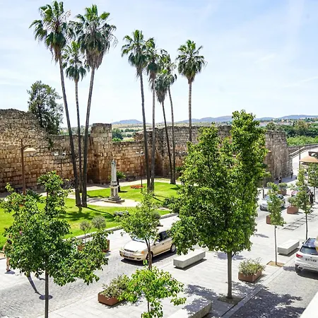 Puente Parking Gratis *