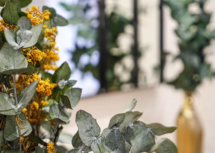 Appartement Puente Parking Gratis Mérida